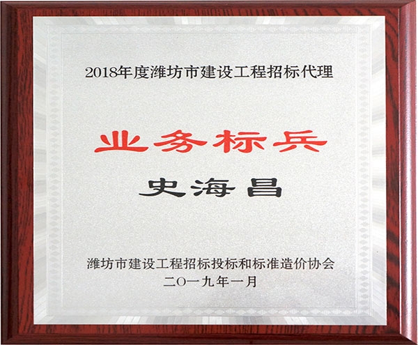 2018年度濰坊市建設(shè)工程招投標業(yè)務(wù)標兵史海昌牌匾